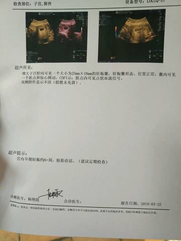 journal_insert_pic_975592389