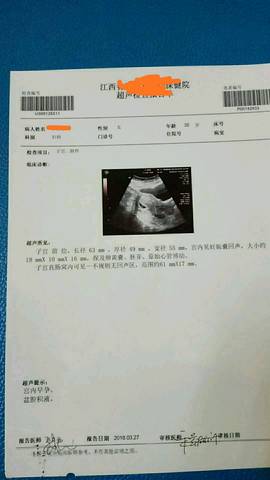 journal_insert_pic_976306205