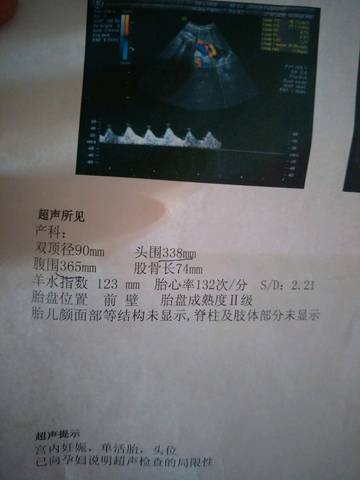 journal_insert_pic_976294513