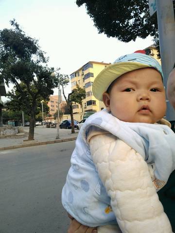journal_insert_pic_977236101