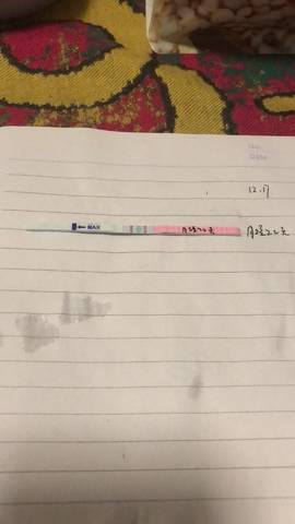 journal_insert_pic_976837698