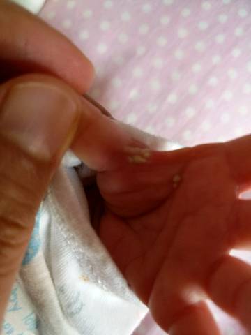 journal_insert_pic_978560467