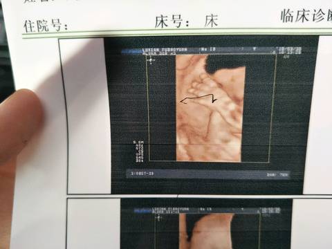 journal_insert_pic_978342607