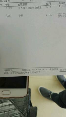 journal_insert_pic_979172427