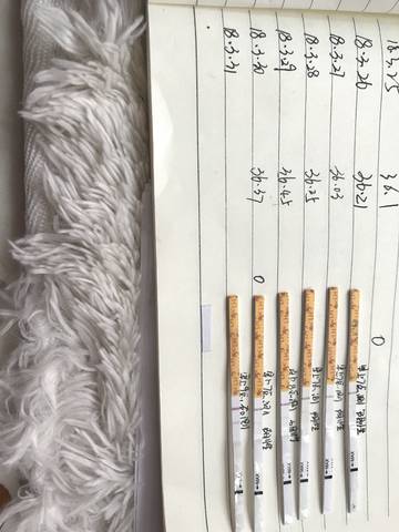 journal_insert_pic_979068003