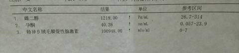 journal_insert_pic_979125244