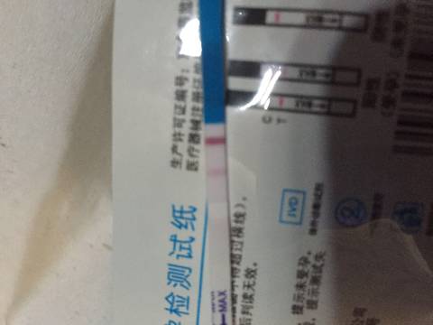 journal_insert_pic_980340095