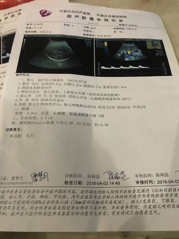 journal_insert_pic_981786796