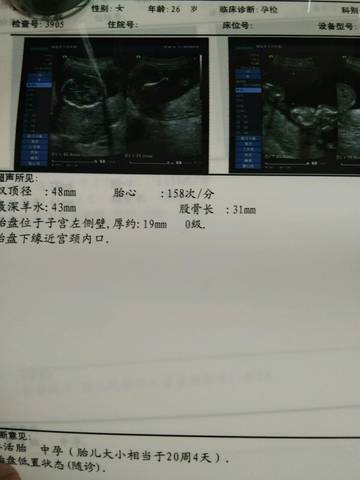 journal_insert_pic_982577369