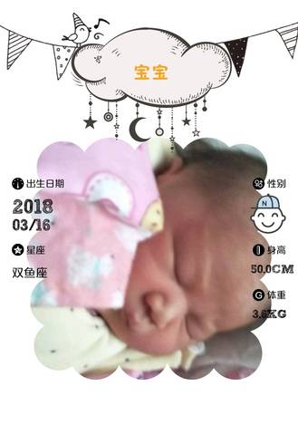 journal_insert_pic_982598814
