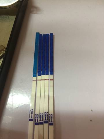 journal_insert_pic_982543402