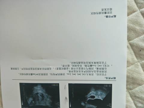 journal_insert_pic_982161408