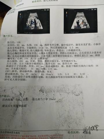 journal_insert_pic_982942727