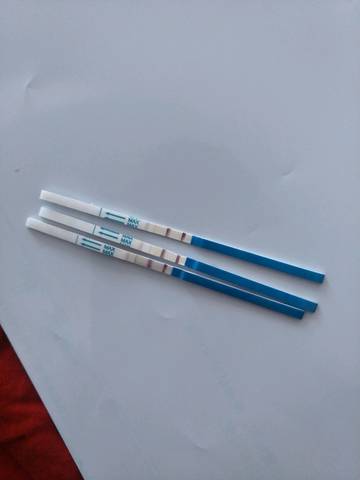 journal_insert_pic_983709962
