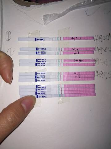 journal_insert_pic_984063226