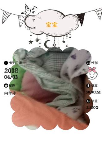 journal_insert_pic_984693343
