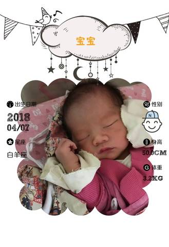 journal_insert_pic_985529180