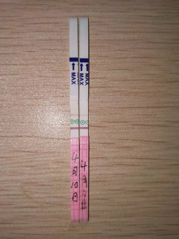 journal_insert_pic_986690155