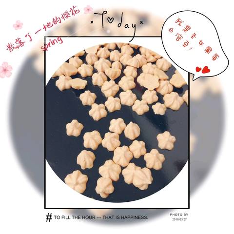 journal_insert_pic_986461233