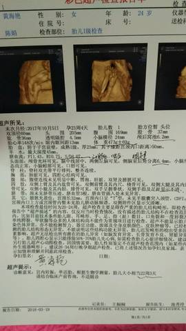 journal_insert_pic_987527019