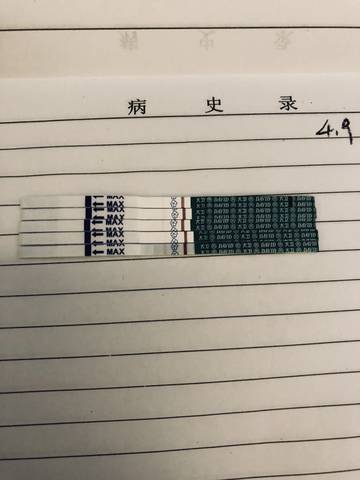 journal_insert_pic_987229736