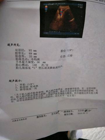 journal_insert_pic_987636141