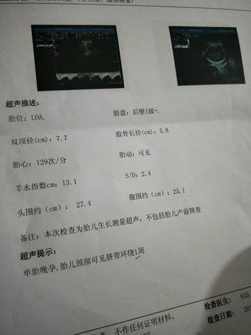 journal_insert_pic_990011243