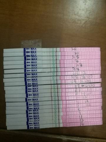 journal_insert_pic_989766995