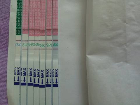 journal_insert_pic_989661045