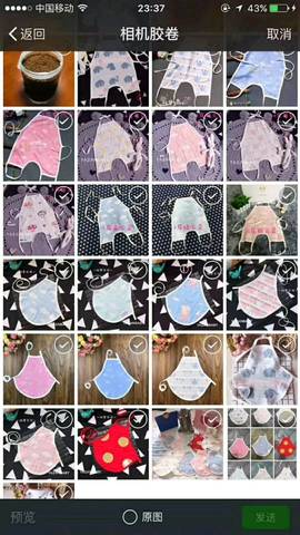 journal_insert_pic_990028022