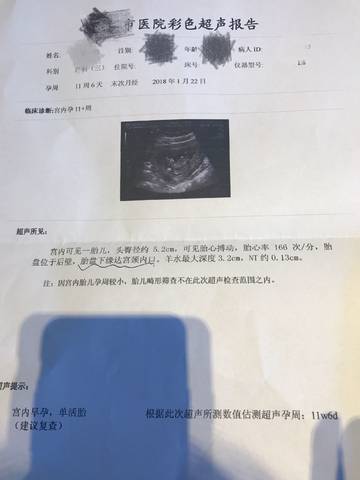 journal_insert_pic_991100425