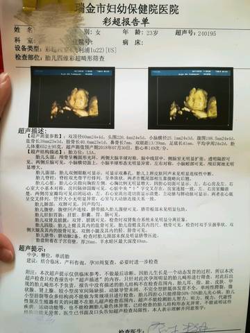 journal_insert_pic_991214016