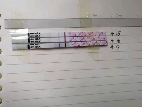 journal_insert_pic_991795505