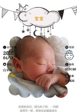 journal_insert_pic_991862955