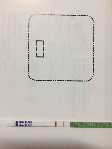 journal_insert_pic_992564052