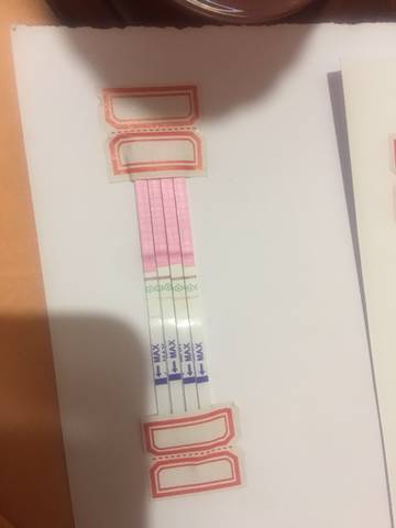 journal_insert_pic_992764569