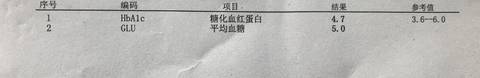 journal_insert_pic_992980395