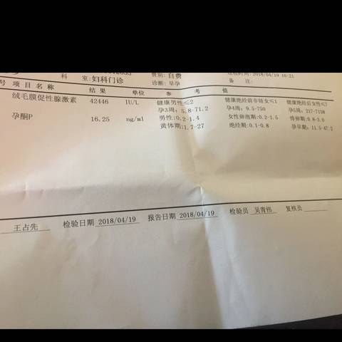 journal_insert_pic_993096035