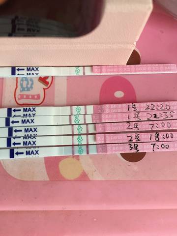 journal_insert_pic_992929459
