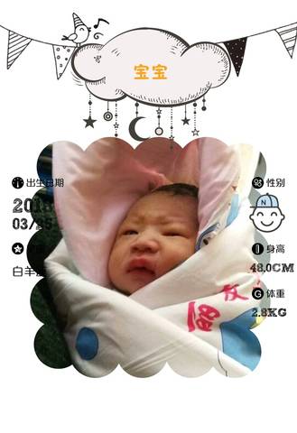 journal_insert_pic_993749687
