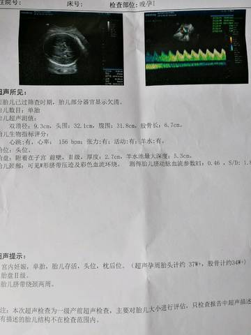 journal_insert_pic_993756873