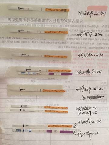 journal_insert_pic_993862222