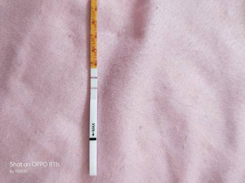 journal_insert_pic_994455520