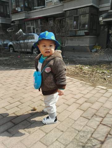 journal_insert_pic_994268828