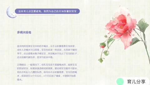 journal_insert_pic_994347792