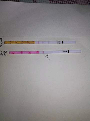 journal_insert_pic_994448472