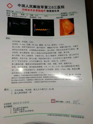 journal_insert_pic_995429878