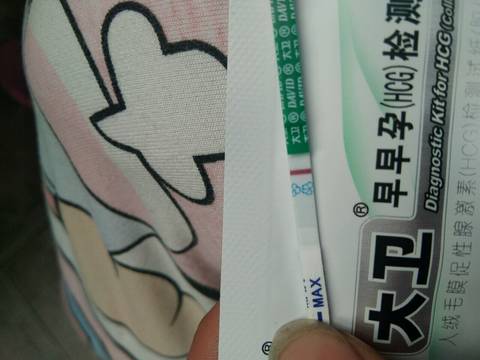 journal_insert_pic_995026546