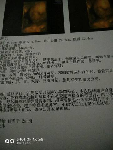 journal_insert_pic_995936322