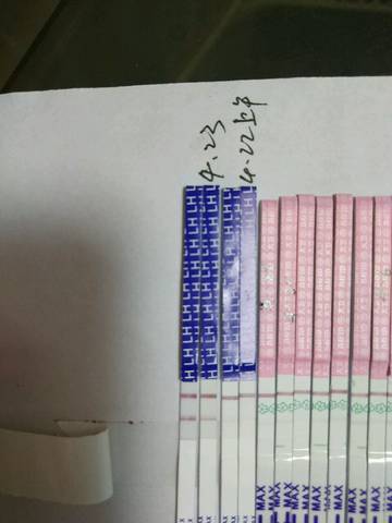 journal_insert_pic_996406746